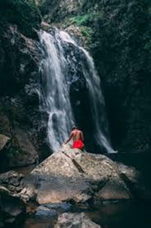Los Pinos House Yauco Dış mekan fotoğraf